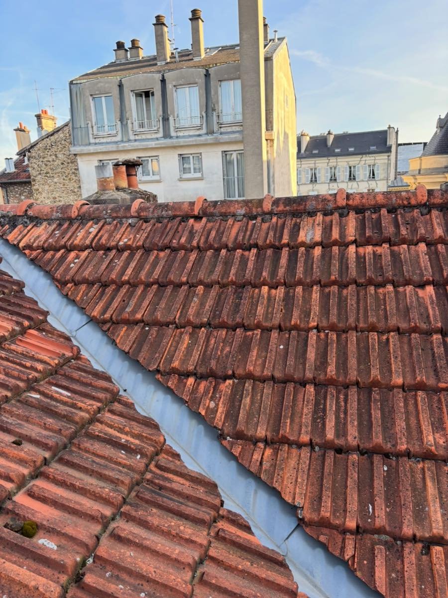 Toiture en tuiles encrassée, couverte de mousse et de lichen, avant traitement