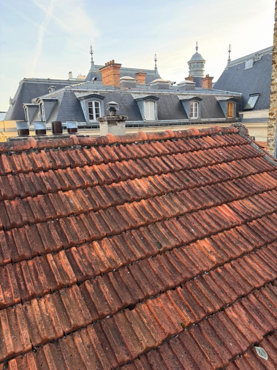 Versant de toiture encrassé vu depuis le faîtage, avant intervention
