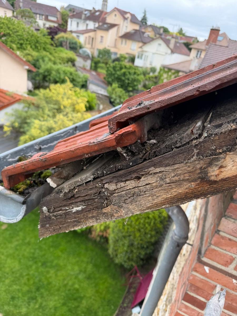 Bois d'avancée de toit pourri, découvert sous les tuiles
